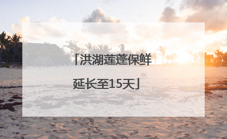 洪湖莲蓬保鲜延长至15天