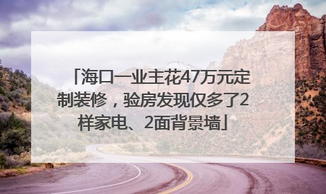 海口一业主花47万元定制装修，验房发现仅多了2样家电、2面背景墙