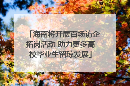 海南将开展百场访企拓岗活动 助力更多高校毕业生留琼发展