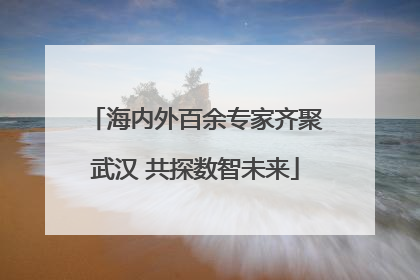 海内外百余专家齐聚武汉 共探数智未来