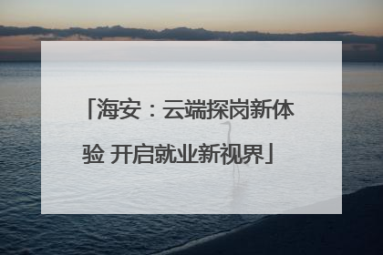 海安：云端探岗新体验 开启就业新视界