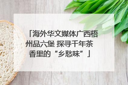 海外华文媒体广西梧州品六堡 探寻千年茶香里的“乡愁味”
