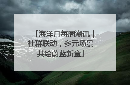 海洋月每周潮讯｜社群联动，多元场景共绘蔚蓝新章