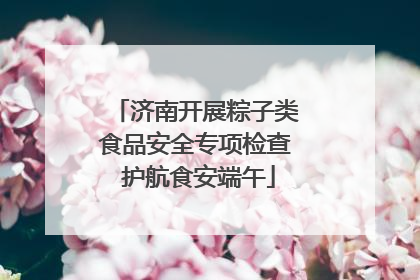 济南开展粽子类食品安全专项检查 护航食安端午