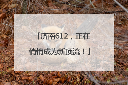 济南612，正在悄悄成为新顶流！
