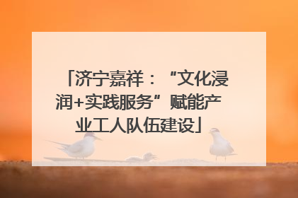济宁嘉祥：“文化浸润+实践服务”赋能产业工人队伍建设