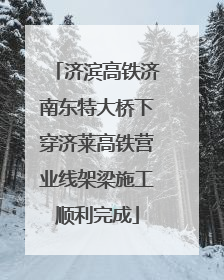 济滨高铁济南东特大桥下穿济莱高铁营业线架梁施工顺利完成