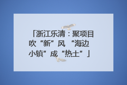 浙江乐清：聚项目吹“新”风 “海边小镇”成“热土”