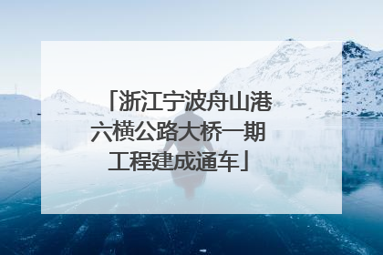 浙江宁波舟山港六横公路大桥一期工程建成通车