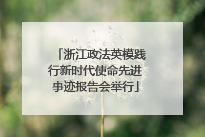 浙江政法英模践行新时代使命先进事迹报告会举行
