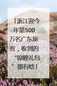 浙江迎今年第500万名广东旅客，收到的“锦鲤礼包”都有啥