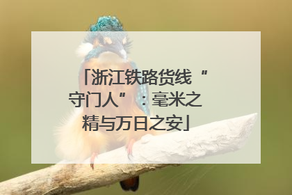 浙江铁路货线“守门人”：毫米之精与万日之安