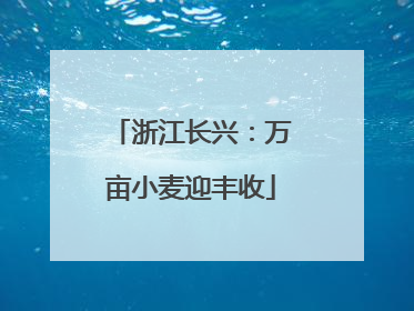 浙江长兴：万亩小麦迎丰收