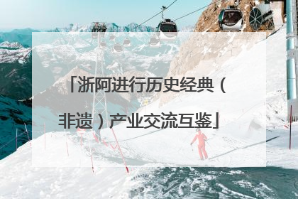 浙阿进行历史经典（非遗）产业交流互鉴