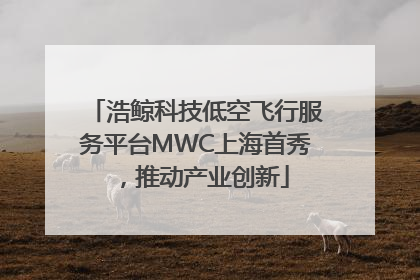 浩鲸科技低空飞行服务平台MWC上海首秀，推动产业创新