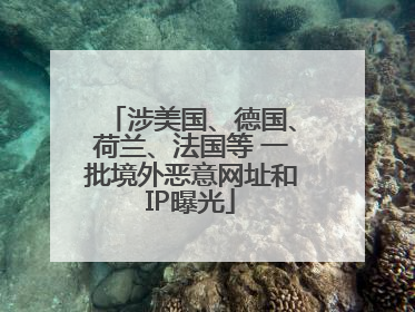 涉美国、德国、荷兰、法国等 一批境外恶意网址和IP曝光