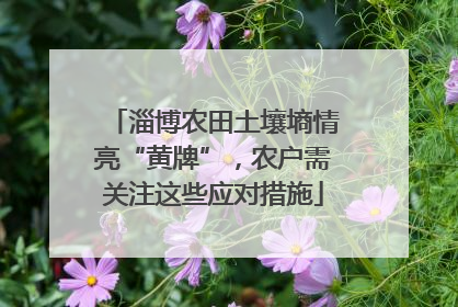 淄博农田土壤墒情亮“黄牌”，农户需关注这些应对措施