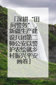 深耕“田间警务”，新疆生产建设兵团第二师公安以警护农绘就乡村振兴平安画卷