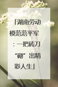 湖南劳动模范范平军：一把砖刀“砌”出精彩人生