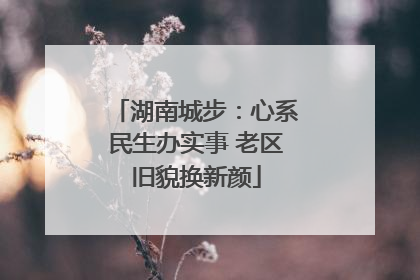 湖南城步：心系民生办实事 老区旧貌换新颜
