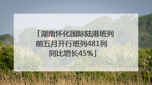 湖南怀化国际陆港班列前五月开行班列481列 同比增长45%