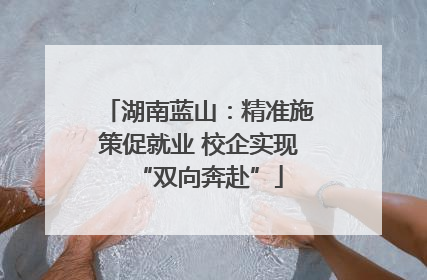 湖南蓝山：精准施策促就业 校企实现“双向奔赴”