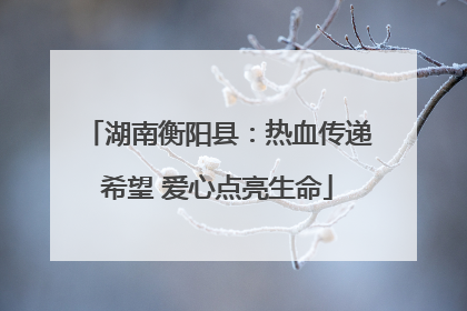 湖南衡阳县：热血传递希望 爱心点亮生命