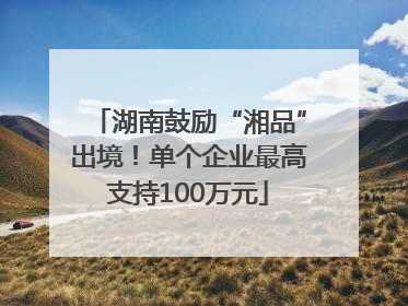 湖南鼓励“湘品”出境！单个企业最高支持100万元