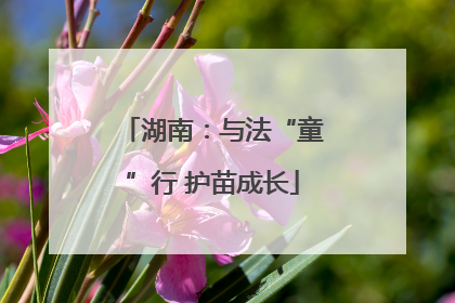 湖南：与法“童”行 护苗成长