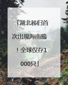 湖北秭归首次出现海南鳽！全球仅存1000只