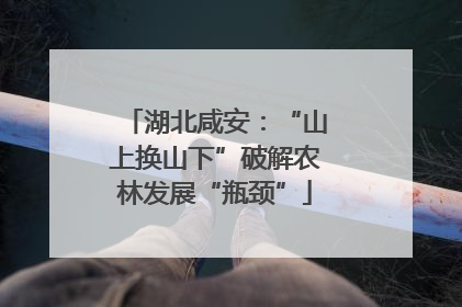 湖北咸安：“山上换山下”破解农林发展“瓶颈”