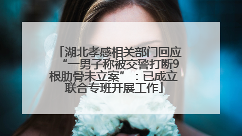 湖北孝感相关部门回应“一男子称被交警打断9根肋骨未立案”：已成立联合专班开展工作