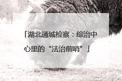 湖北通城检察：综治中心里的“法治前哨”