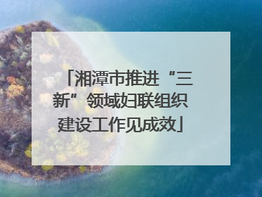 湘潭市推进“三新”领域妇联组织建设工作见成效