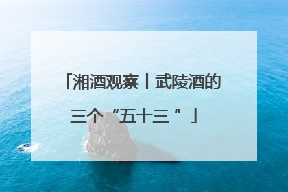 湘酒观察丨武陵酒的三个“五十三 ”