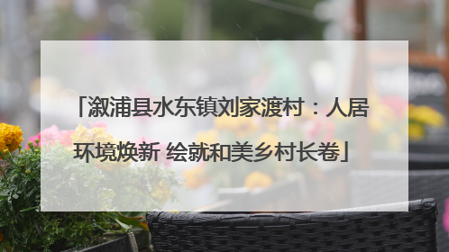 溆浦县水东镇刘家渡村：人居环境焕新 绘就和美乡村长卷