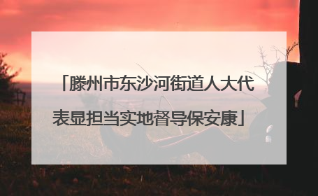 滕州市东沙河街道人大代表显担当实地督导保安康