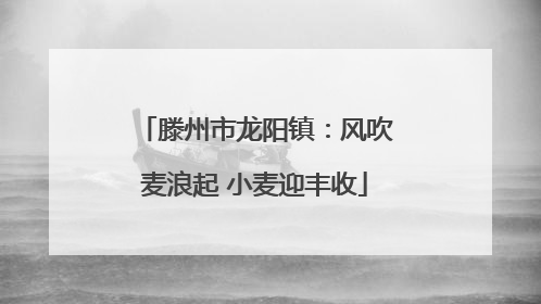 滕州市龙阳镇：风吹麦浪起 小麦迎丰收