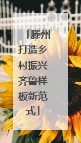 滕州打造乡村振兴齐鲁样板新范式