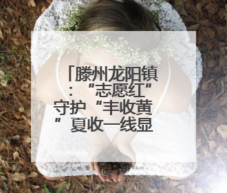 滕州龙阳镇：“志愿红”守护“丰收黄”夏收一线显担当