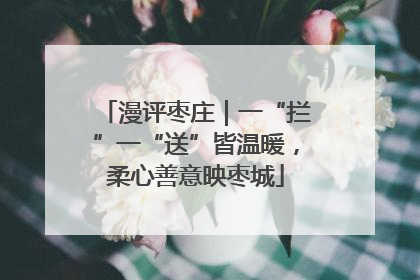 漫评枣庄｜一“拦”一“送”皆温暖，柔心善意映枣城
