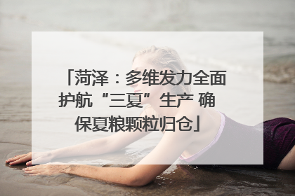 菏泽：多维发力全面护航“三夏”生产 确保夏粮颗粒归仓