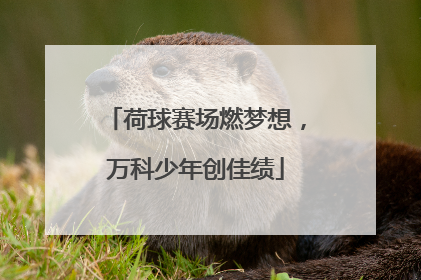 荷球赛场燃梦想，万科少年创佳绩