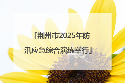 荆州市2025年防汛应急综合演练举行