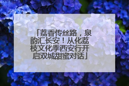 荔香传丝路，泉韵汇长安！从化荔枝文化季西安行开启双城甜蜜对话