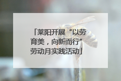 莱阳开展“以劳育美，向新而行”劳动月实践活动