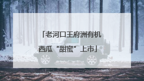 老河口王府洲有机西瓜“甜蜜”上市