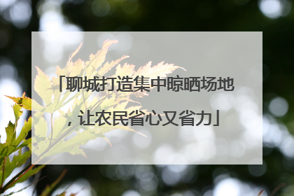 聊城打造集中晾晒场地，让农民省心又省力