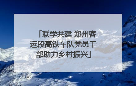 联学共建 郑州客运段高铁车队党员干部助力乡村振兴