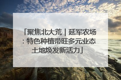 聚焦北大荒｜延军农场：特色种植带旺多元业态 土地焕发新活力